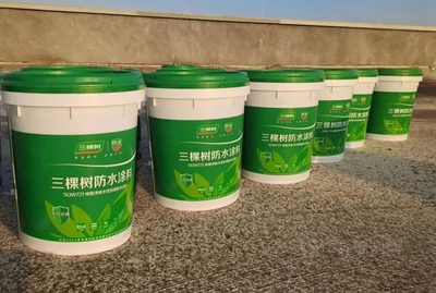 三棵树绿意净味筑防线 广西长科新材料项目的水性涂料应用实践